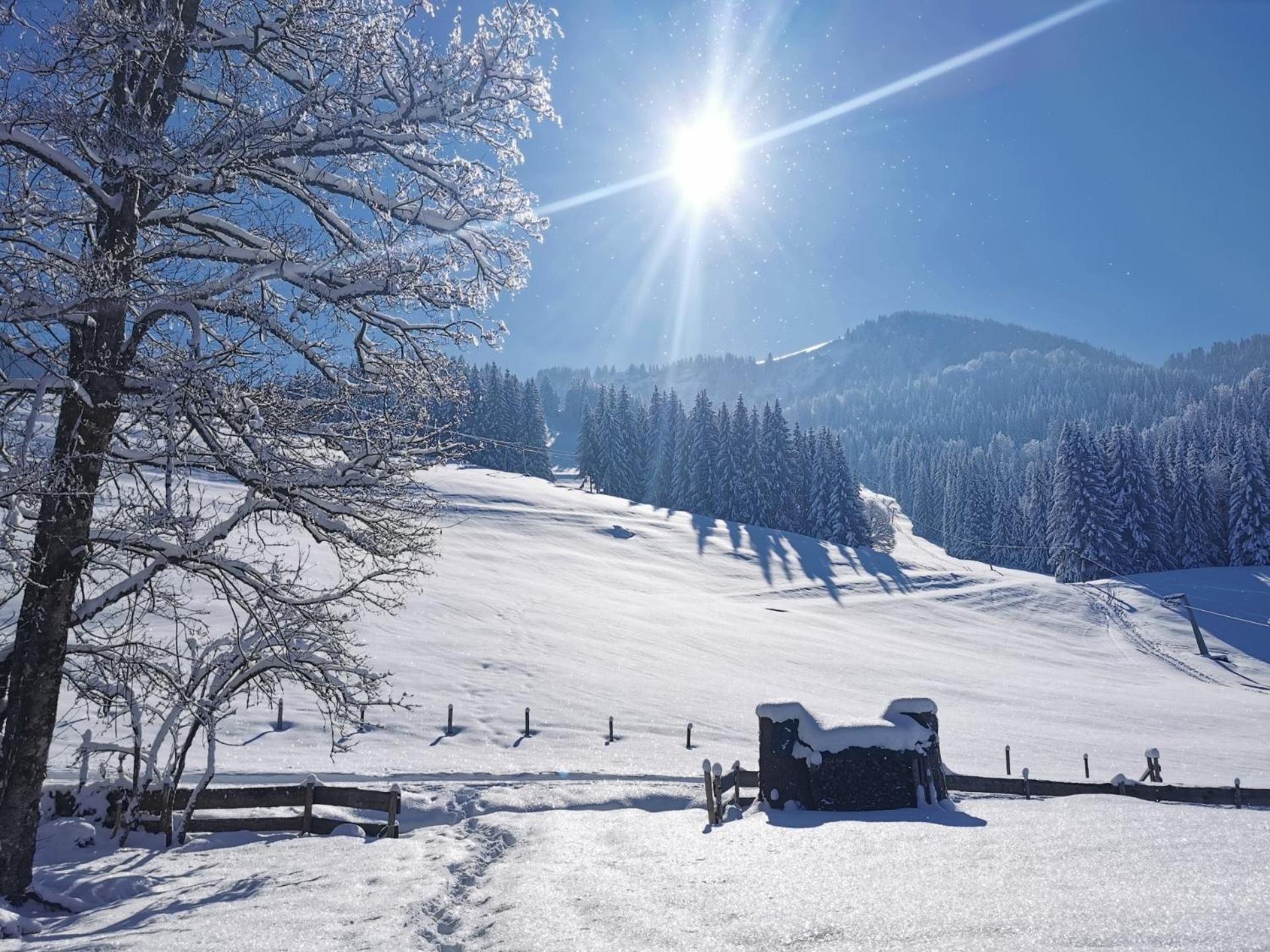 Konstanzer Bergblick Mit Wintergarten Oberstaufen Esterno foto